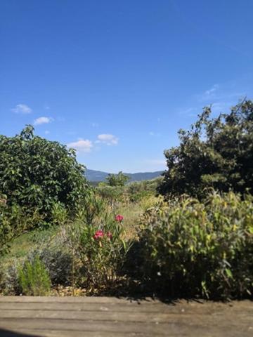 Villa Spacieuse Avec Terrasse Et Vue Mont Ventoux Entrechaux エクステリア 写真