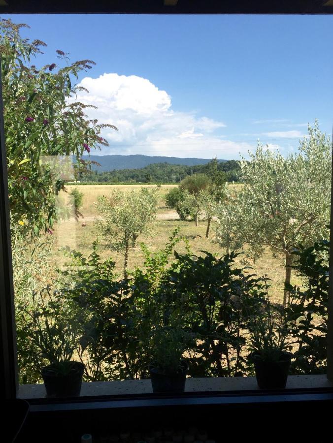 Villa Spacieuse Avec Terrasse Et Vue Mont Ventoux Entrechaux エクステリア 写真
